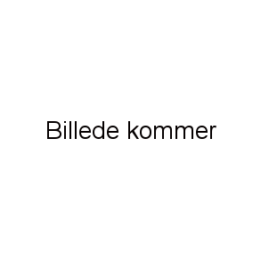 Hund