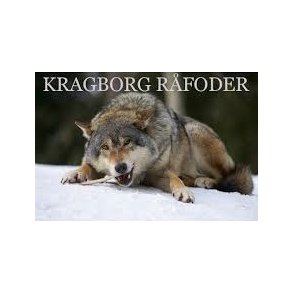 Oksekød